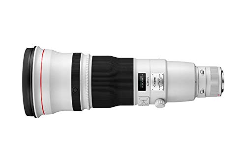 Canon EF 600mm 1:4 L IS II USM Teleobjektiv: Amazon.de: Elektronik